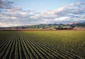 Convertir facilement 5 hectares en mètres carrés : comprendre les mesures de surface