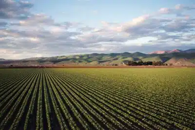 Convertir facilement 5 hectares en mètres carrés : comprendre les mesures de surface