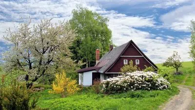 Entretien de jardin : quelques astuces pour réussir