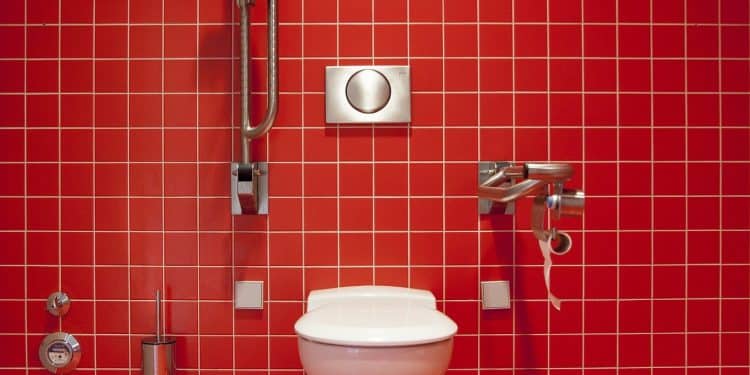 Pourquoi faut-il faire appel à un professionnel pour le remplacement d'une chasse d'eau ?